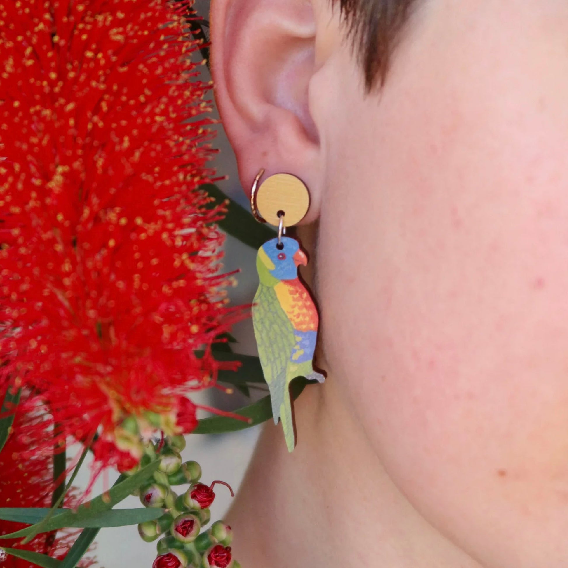Australian bird rainbow lorikeet wooden stud earrings