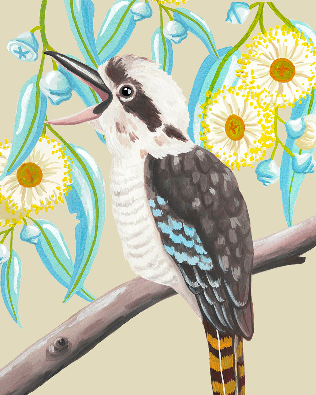 Kookaburra Print - 8 x 10
