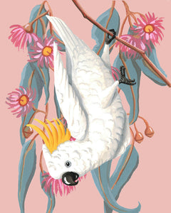 White Cockatoo Print - 8 x 10"